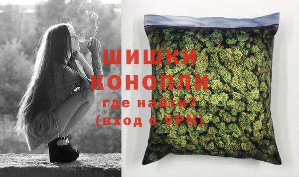 прущие грибы Балабаново