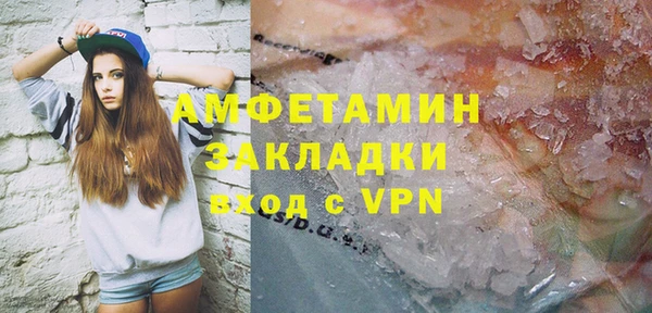 прущие грибы Балабаново