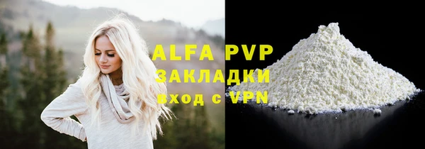 прущие грибы Балабаново