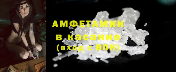 прущие грибы Балабаново