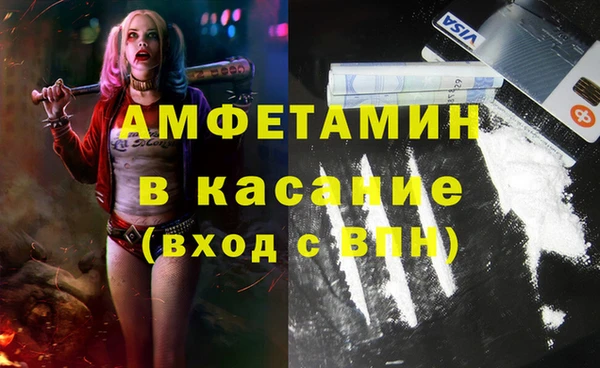 прущие грибы Балабаново