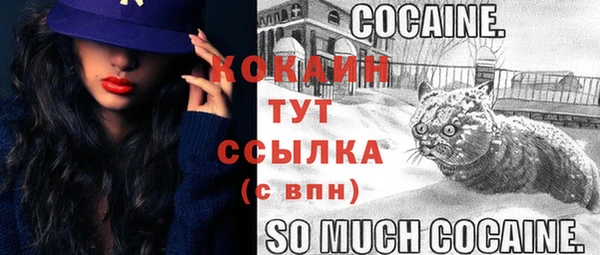 прущие грибы Балабаново
